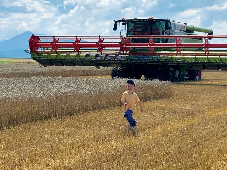 Sohn Johann im Farmerglück Fotos: privat